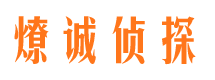 靖安市侦探公司